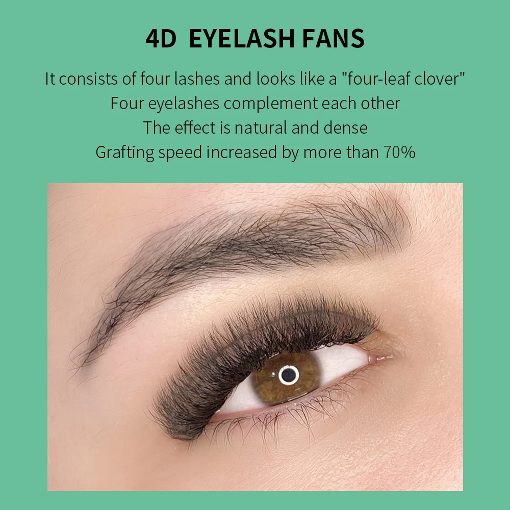 GLAMLASH 4D W-förmige Wimpernv – Eyelash Extension Volume Styles Bewertung und Preis