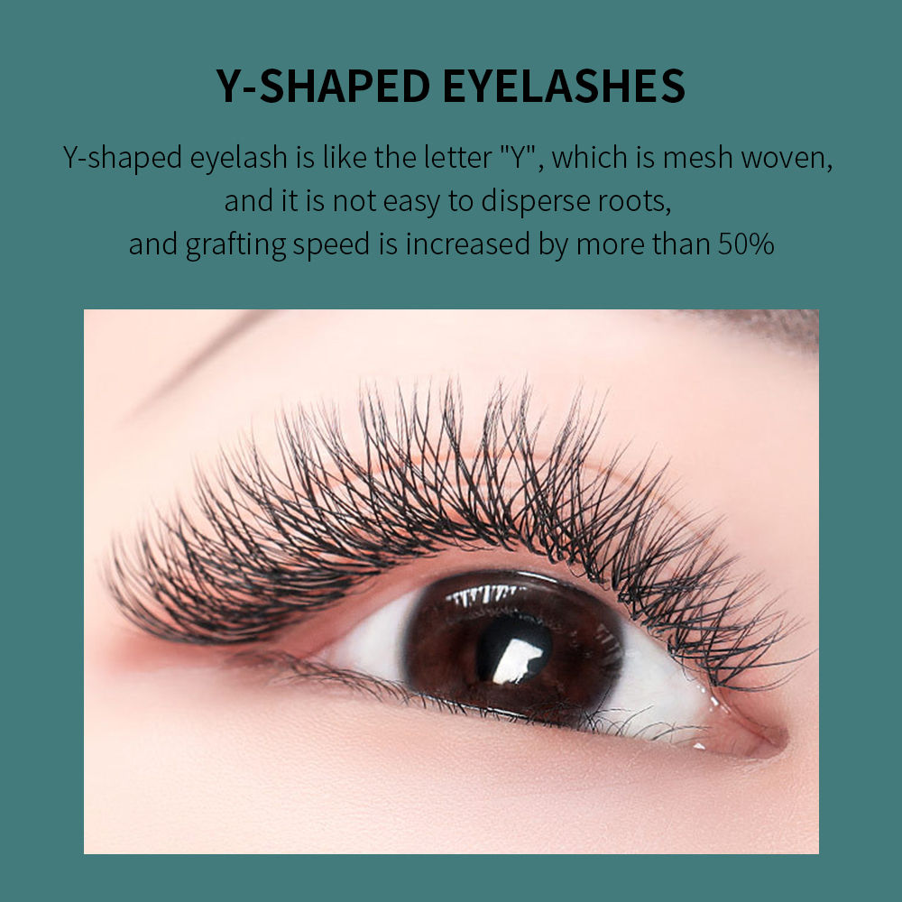 GLAMLASH YY-Form, schwarze Wim – Eyelash Extension Yy Bewertung und Preis